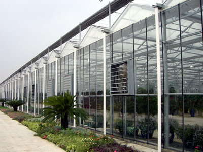 温室大棚_图片_建造价格_安装_南京多旺温室工程有限公司