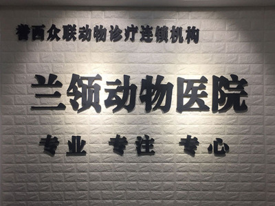 兰州宠物|动物|急诊|夜诊|专业宠物医院-兰州兰领动物医院有限公司