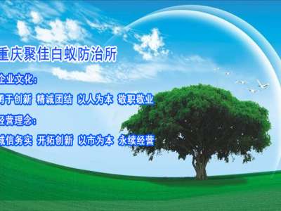 重庆白蚁防治公司_重庆白蚁灭治公司【专业白蚁灭治十年】