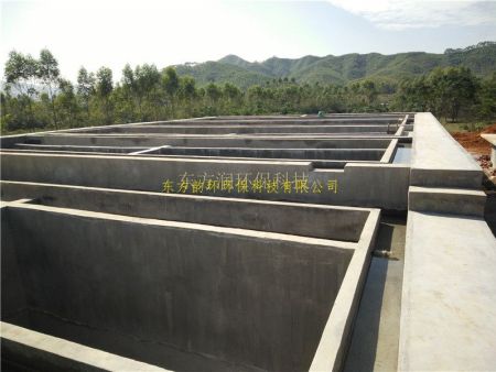 IMG20151127114804