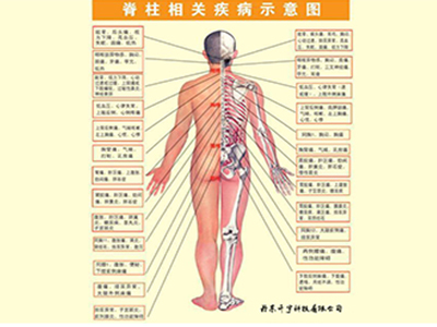 万博官方梳理床_颤足抖脊床_价格_厂家-丹东升宇科技有限公司