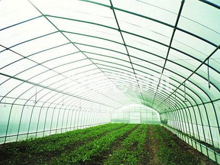 几字钢日光温室