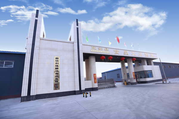 公司介绍