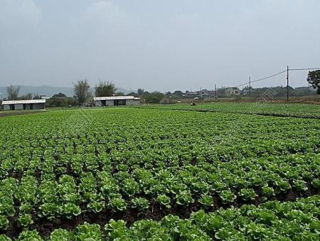 蔬菜配送基地
