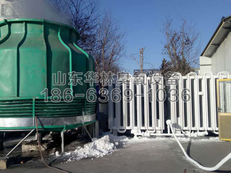 熱力有限公司-2臺40KG氧氣源脫硝現場