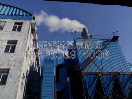 热力有限公司-2台40KG氧气源脱硝现场