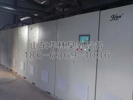 热力有限公司-2台40KG氧气源脱硝现场