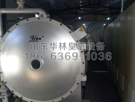 熱力有限公司-2臺40KG氧氣源脫硝現場