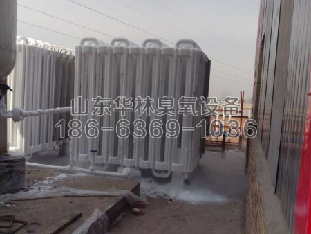 热力有限公司-2台40KG氧气源脱硝现场