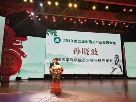 第二届中国艾产业发展大会