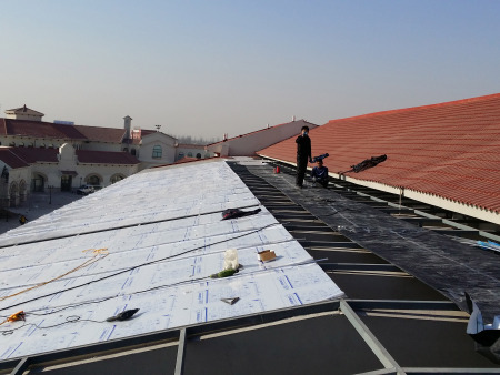 四季鲜采光顶 (1)