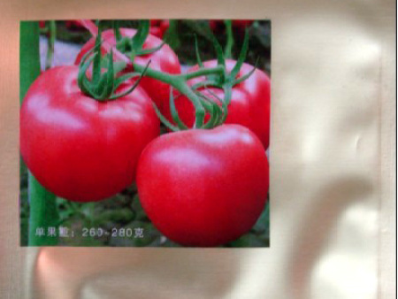 番茄种子——凯莱