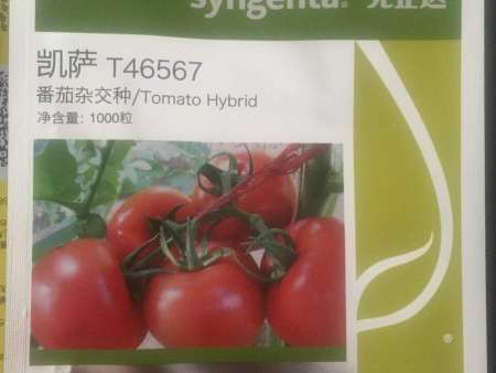 番茄种子——凯萨