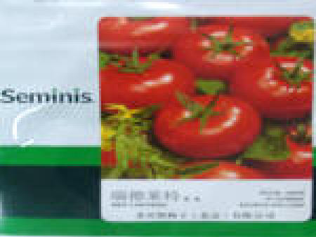 番茄种子——瑞德莱特