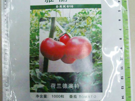 番茄种子——雅丽616