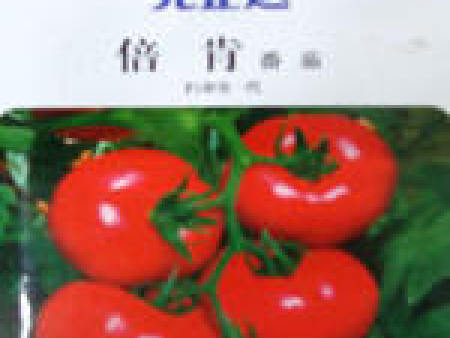 番茄种子——倍肯