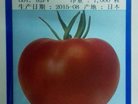 番茄种子——桃星