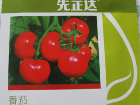番茄种子——拉比