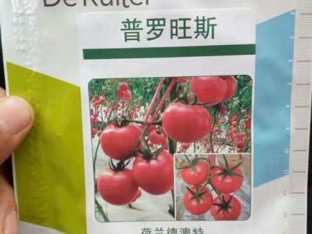 番茄种子——普罗旺斯