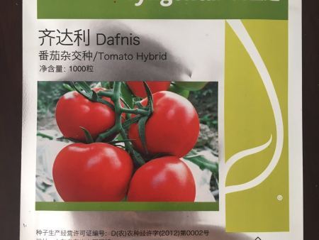 番茄种子——齐达利