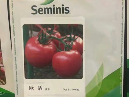 番茄种子——欧盾