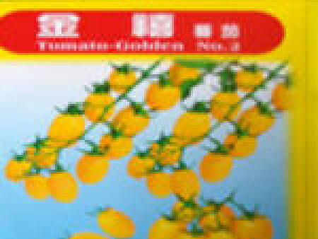 番茄种子——金禧