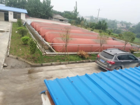 mmexport1527049827819