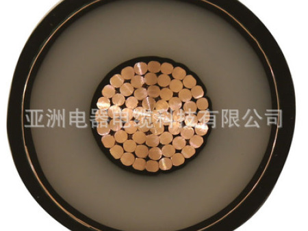 亚洲港牌交联聚乙烯绝缘PVC护套电力电缆 ZR-YJV 6/10kV 3X120