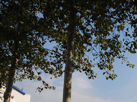 新建公司办公区