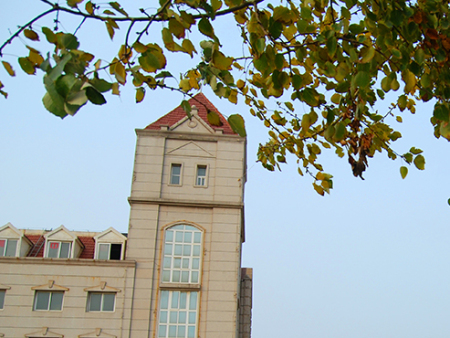 龙新广场 新家圆新