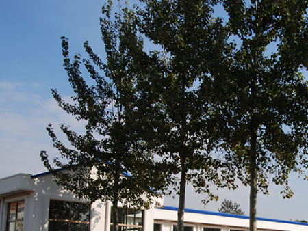 新建公司办公区