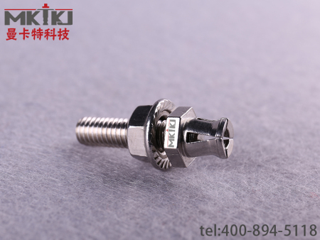 旋進(jìn)式背栓-(2)