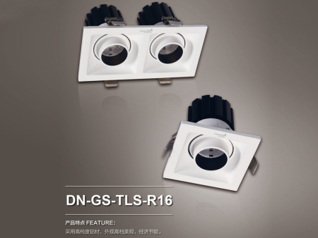 DN-GS-TLS-R16