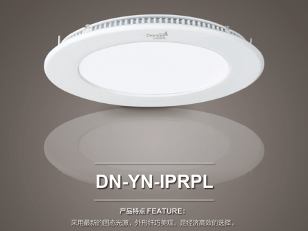 led灯的价格|DN-YN-IPRPL