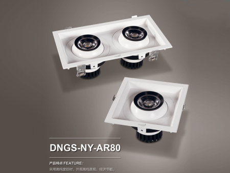 led导轨射灯|DNGS-NY-AR80