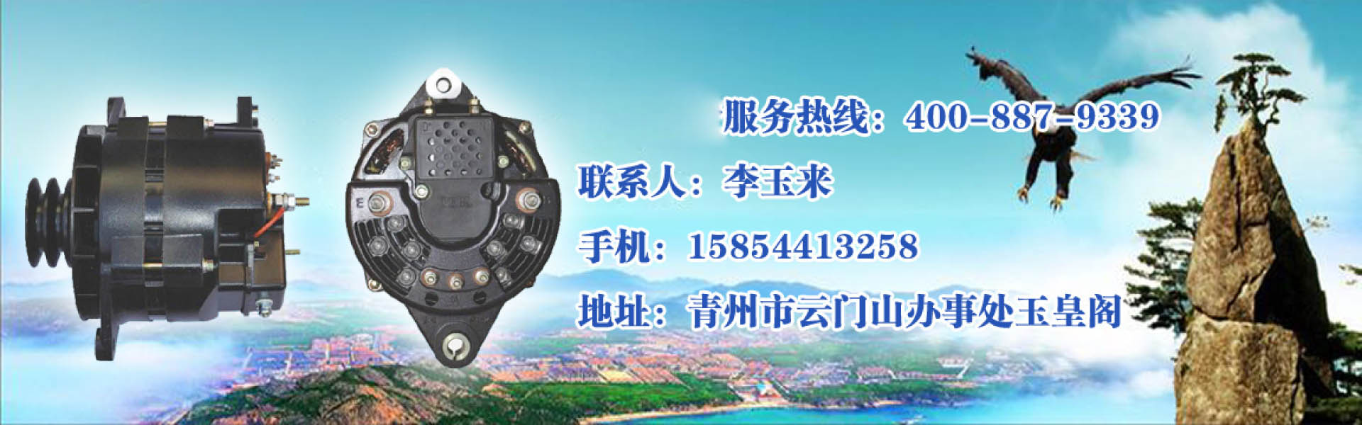 JFZ2910_发电机厂家-青州市双强电器有限公司