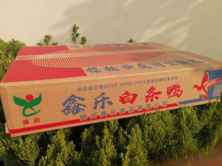 沂南杀鸭厂