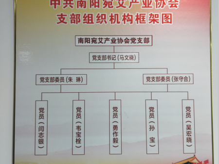 中共南阳宛艾产业协会支部组织框架图