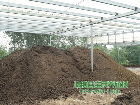 笨鸡品种介绍