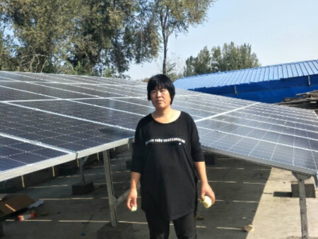 延津县丰庄镇南皮王新旺12千瓦电