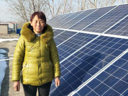 延津县丰庄镇高寨村李花东5千瓦电站