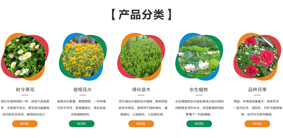 青州市宇宙花卉苗木有限公司