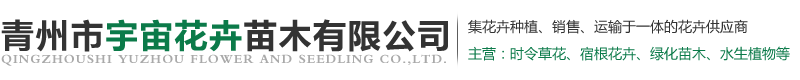 青州市宇宙花卉苗木有限公司