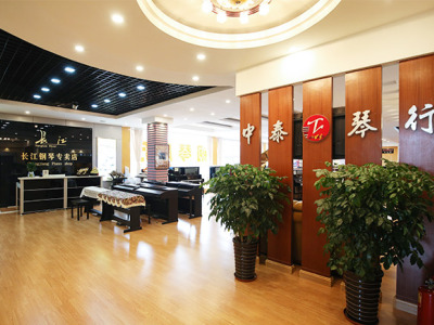 南陽市中泰琴行有限公司-南陽鋼琴專賣-南陽鋼琴培訓-南陽專業樂器銷售
