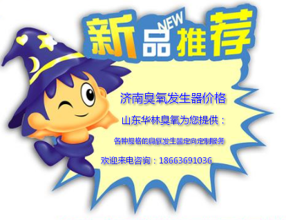 濟(jì)南臭氧發(fā)生器價格