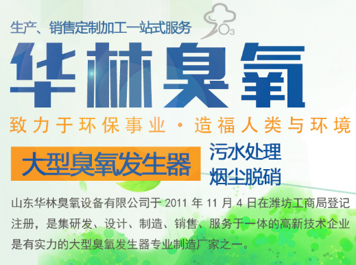 山東臭氧發(fā)生器廠家