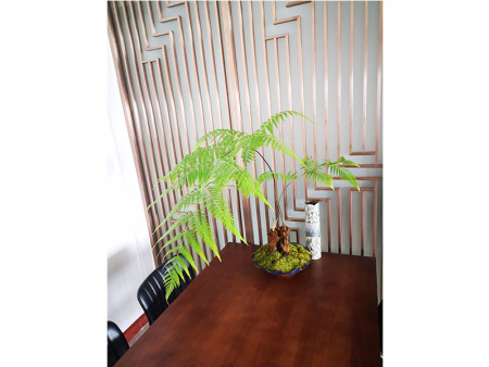 中南上科公司 (7)