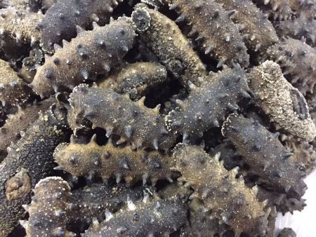 微信图片_201808080856454