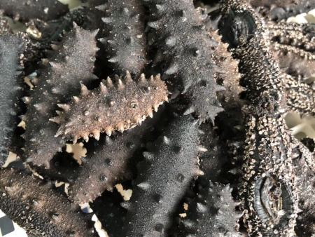 微信图片_201808080856453