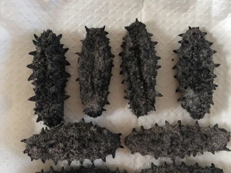 微信图片_201808080856457